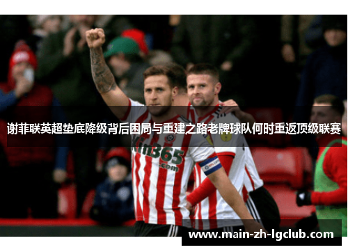 谢菲联英超垫底降级背后困局与重建之路老牌球队何时重返顶级联赛